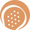 Esporte Vida - Clube de Padel